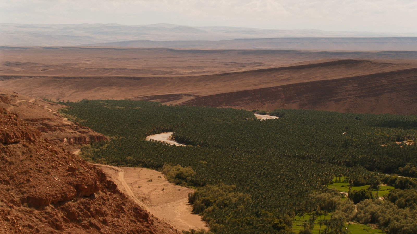 Palm groves winding through the Draa Valley near Agdz, framed by red-rock hills